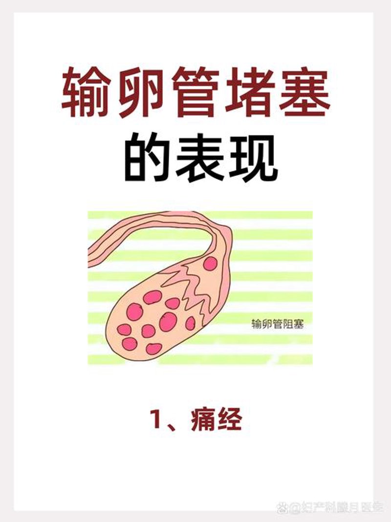 不孕不育治疗：在科学的海洋中航行